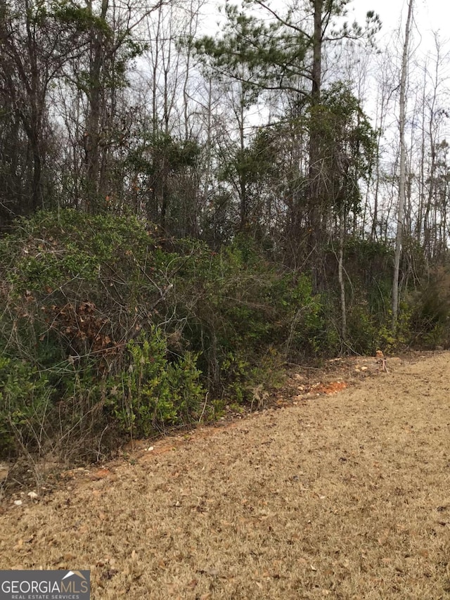 view of local wilderness