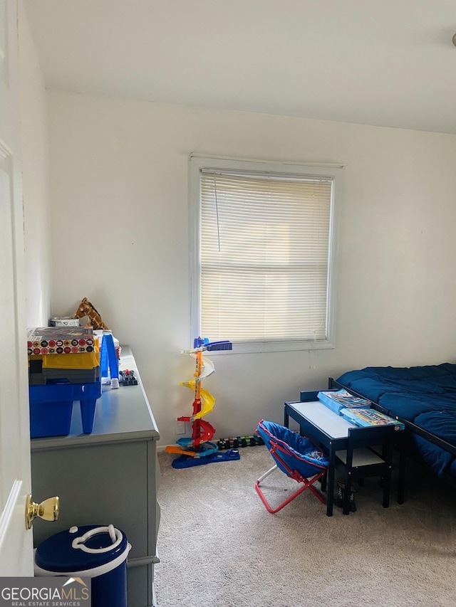 bedroom featuring carpet