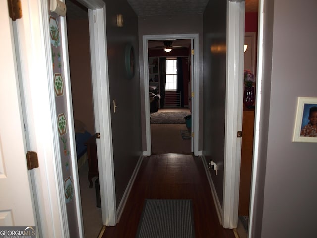 hallway featuring dark hardwood / wood-style flooring