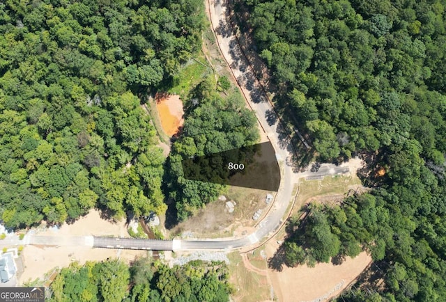 11718 Serenbe Ln, Chattahoochee Hills GA, 30268 land for sale