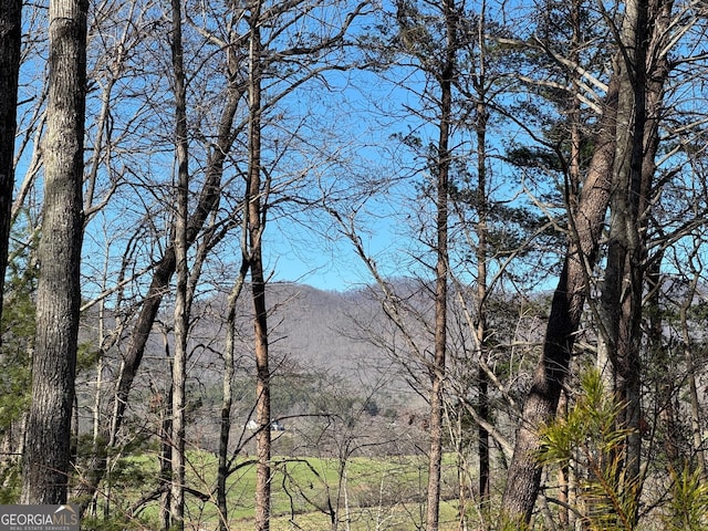 view of mountain feature