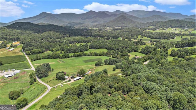 aerial view with a mountain view