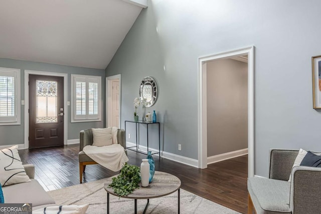 3847 Admiral Dr, Chamblee, GA 30341 - living room featuring wood finished floors and high vaulted ceiling