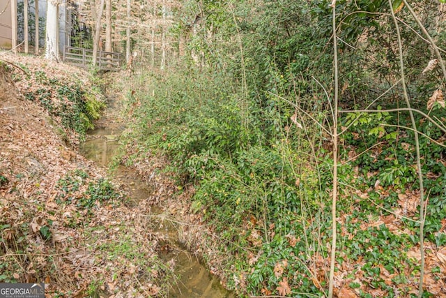 3847 Admiral Dr, Chamblee, GA 30341 - view of nature