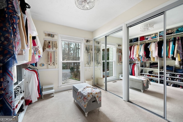 walk in closet with light carpet