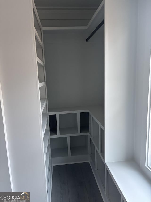 spacious closet featuring dark hardwood / wood-style floors