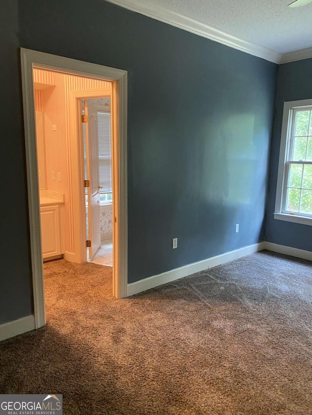 carpeted empty room with ornamental molding and a textured ceiling