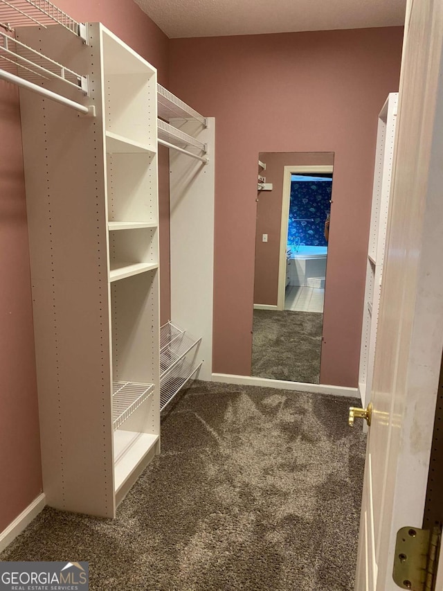 spacious closet featuring carpet flooring