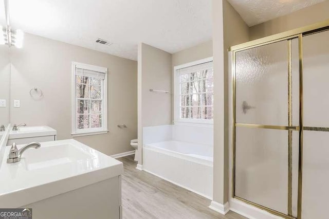 145 Price Hills Ct, Sugar Hill, GA 30518 - bathroom with wood finished floors, a shower stall, a bath, and vanity