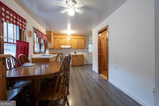 dining room with ceiling fan, a healthy amount of sunlight, sink, and dark hardwood / wood-style flooring