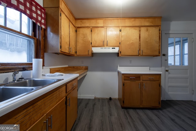 kitchen featuring sink, plenty of natural light, and dark hardwood / wood-style floors