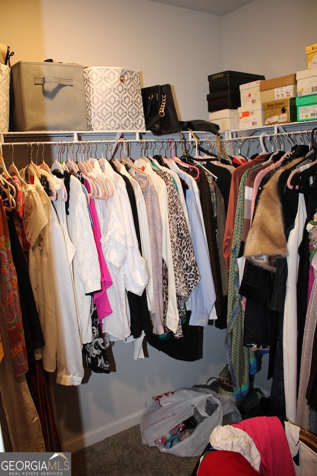 spacious closet with carpet