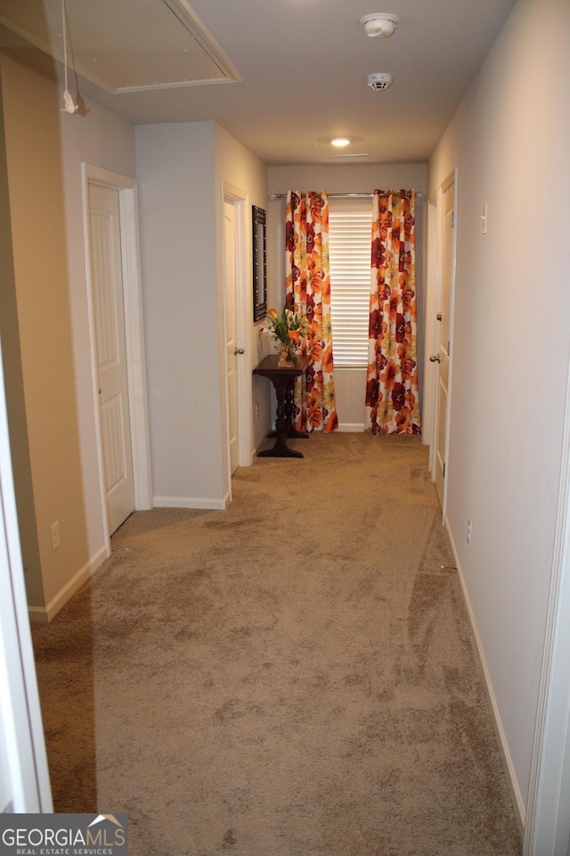 hallway featuring carpet flooring