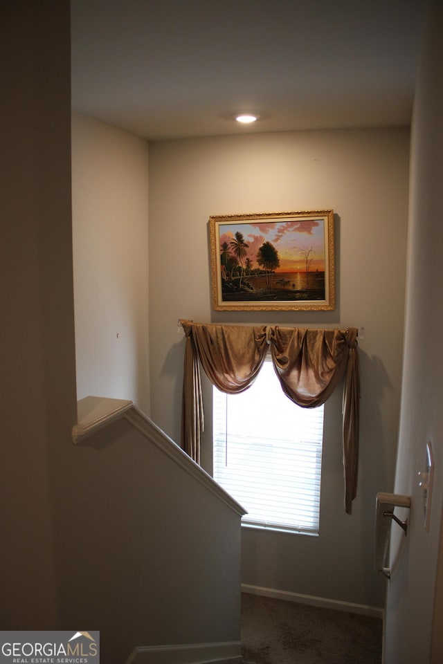 stairway with carpet flooring