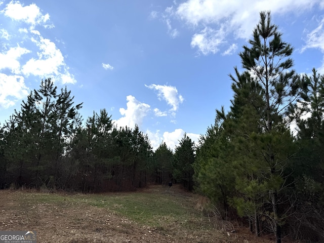 Listing photo 2 for 49.5AC County Road 804, Wedowee AL 36278