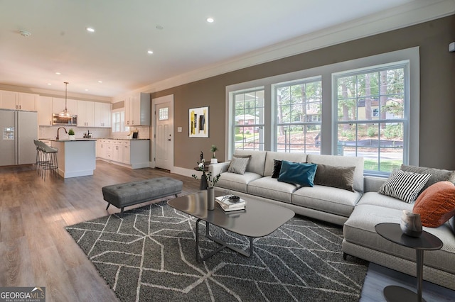 living room with ornamental molding, sink, and light wood-type flooring