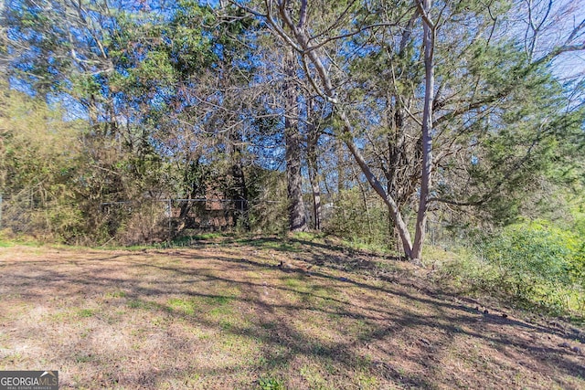 5876 Old Wellborn Trce, Lithonia, GA 30058 - view of yard