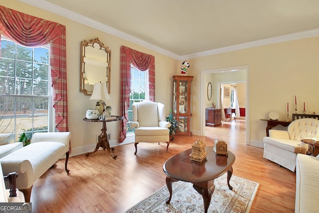 interior space featuring crown molding, a healthy amount of sunlight, and light wood-type flooring