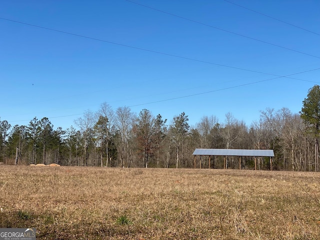 40/-ACRES Forsyth Yatesville Rd, Yatesville, GA 31097