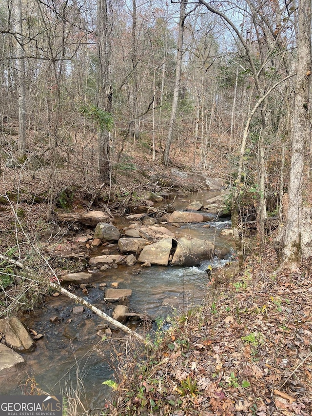 40/-ACRES Forsyth Yatesville Rd, Yatesville, GA 31097