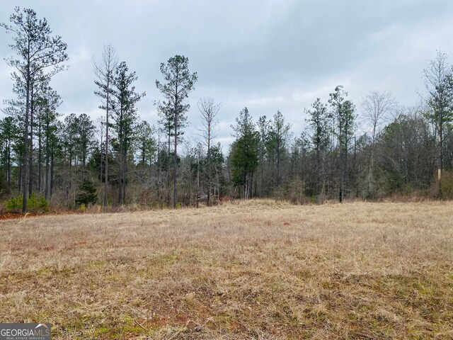 40/-ACRES Forsyth Yatesville Rd, Yatesville, GA 31097