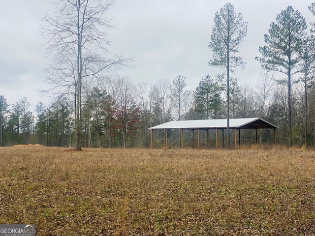 40/-ACRES Forsyth Yatesville Rd, Yatesville, GA 31097