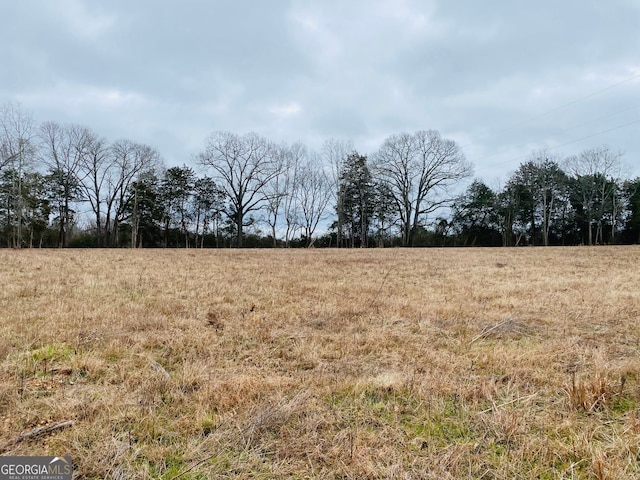 40/-ACRES Forsyth Yatesville Rd, Yatesville, GA 31097