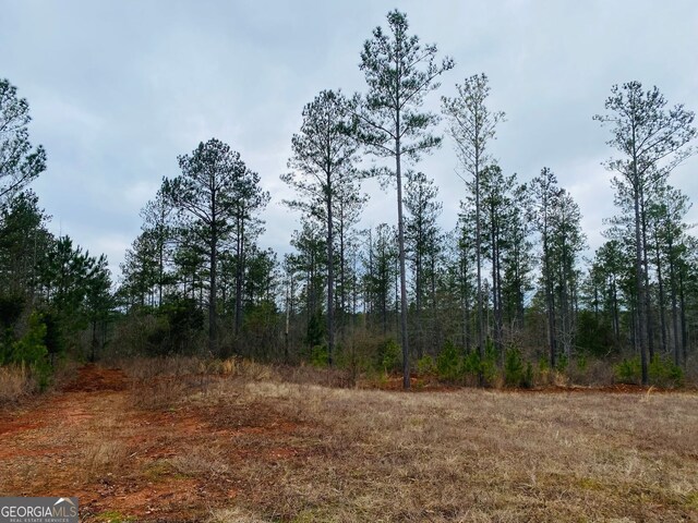40/-ACRES Forsyth Yatesville Rd, Yatesville, GA 31097