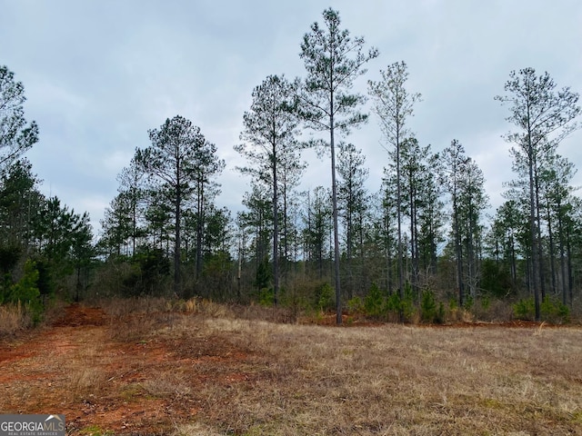 40/-ACRES Forsyth Yatesville Rd, Yatesville, GA 31097
