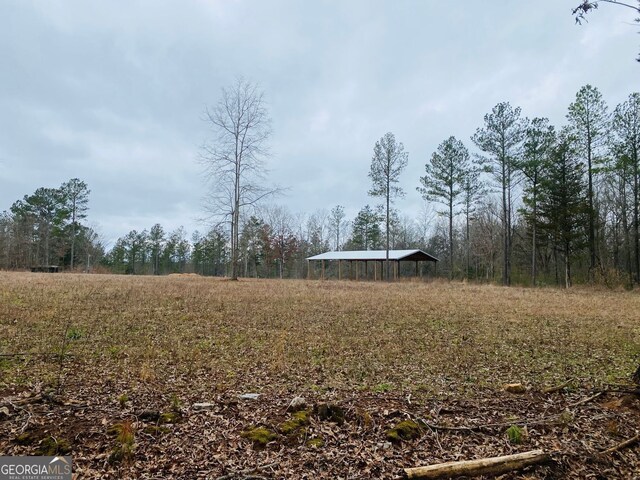 40/-ACRES Forsyth Yatesville Rd, Yatesville, GA 31097