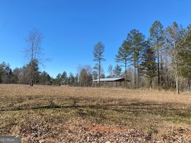 40/-ACRES Forsyth Yatesville Rd, Yatesville, GA 31097