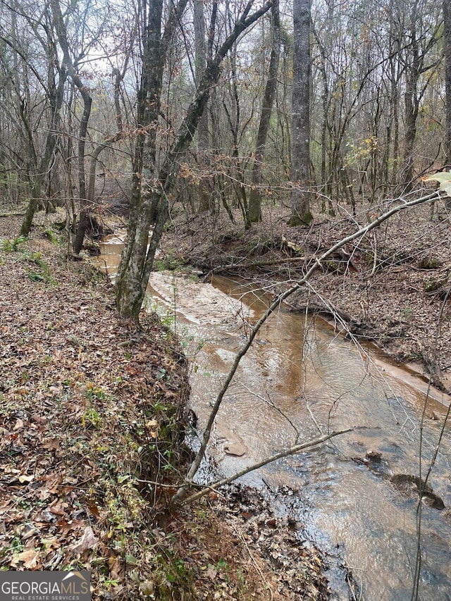 40/-ACRES Forsyth Yatesville Rd, Yatesville, GA 31097