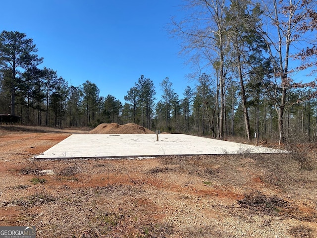 40/-ACRES Forsyth Yatesville Rd, Yatesville, GA 31097