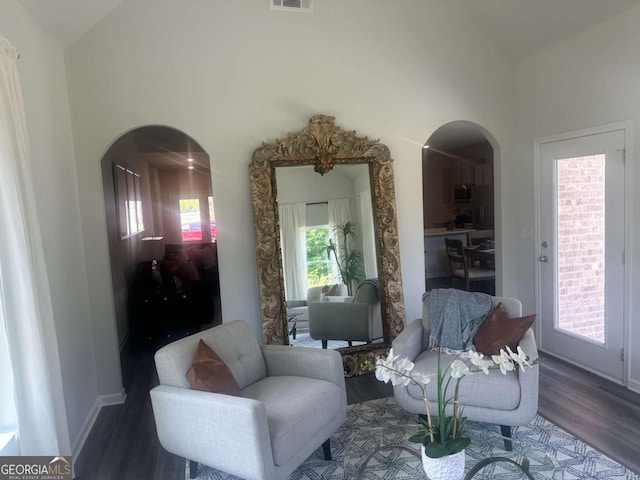 living area featuring wood-type flooring and high vaulted ceiling