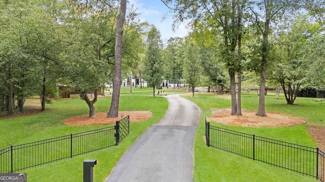 view of community with a lawn