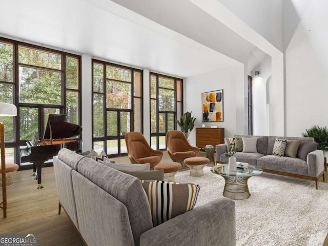 living room featuring expansive windows and wood finished floors