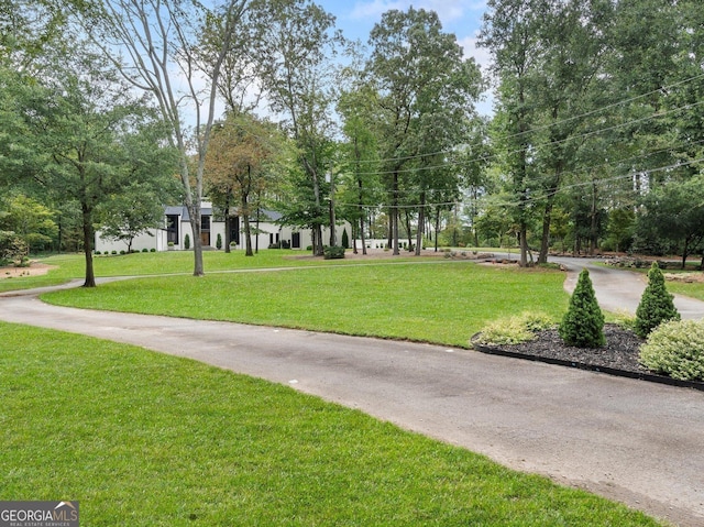 view of property's community featuring a yard