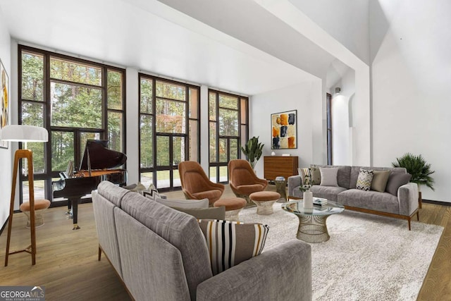 living room with a wall of windows and wood-type flooring