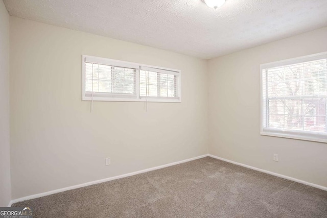 spare room featuring carpet floors, a wealth of natural light, and a textured ceiling