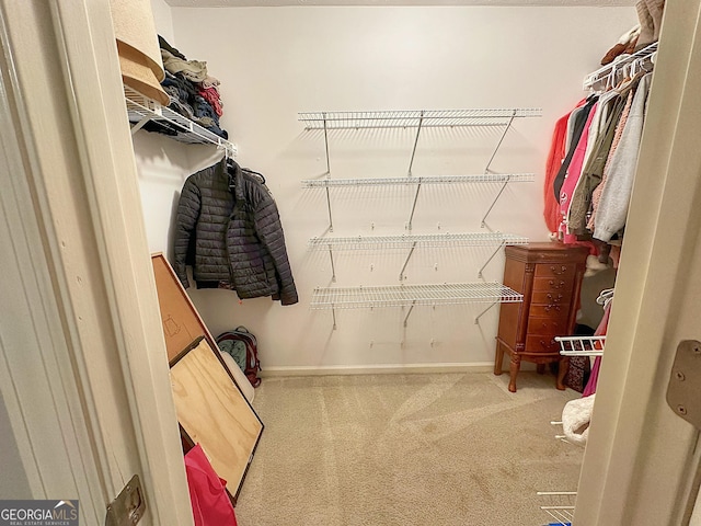 spacious closet with carpet