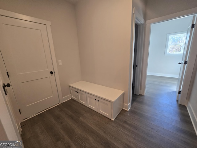 mudroom featuring dark wood-type flooring