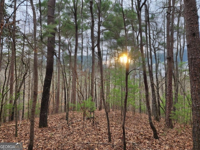 LOT1665 Hunter Dr, Talking Rock GA, 30175 land for sale