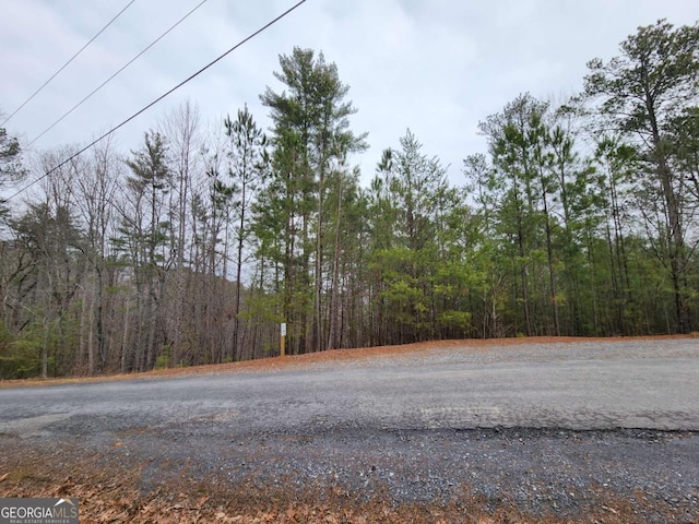 Listing photo 3 for LOT1665 Hunter Dr, Talking Rock GA 30175