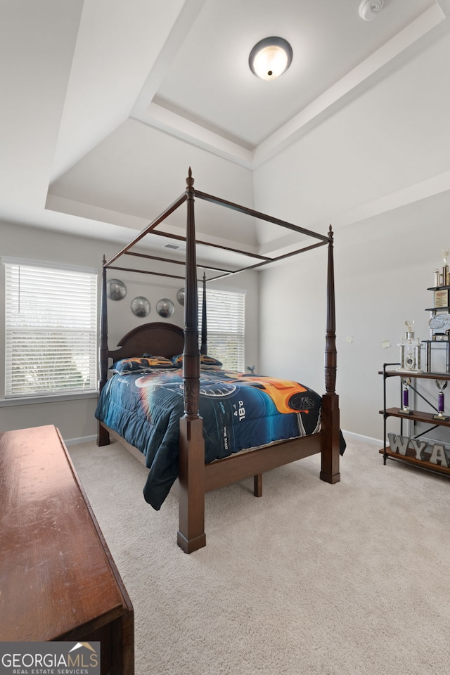 bedroom featuring a tray ceiling and carpet floors