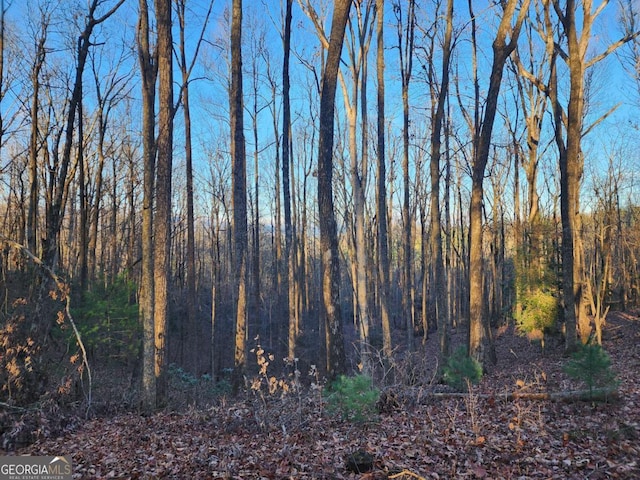 Listing photo 3 for LOT390 Walhalla Ct, Ellijay GA 30540