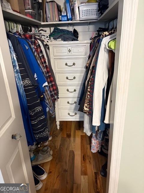 spacious closet with dark hardwood / wood-style floors