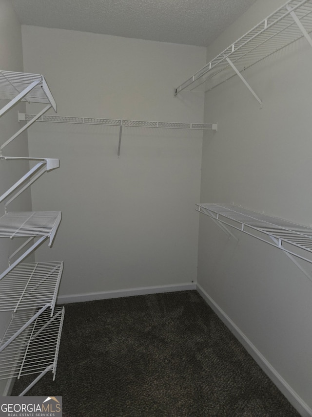 walk in closet with carpet floors