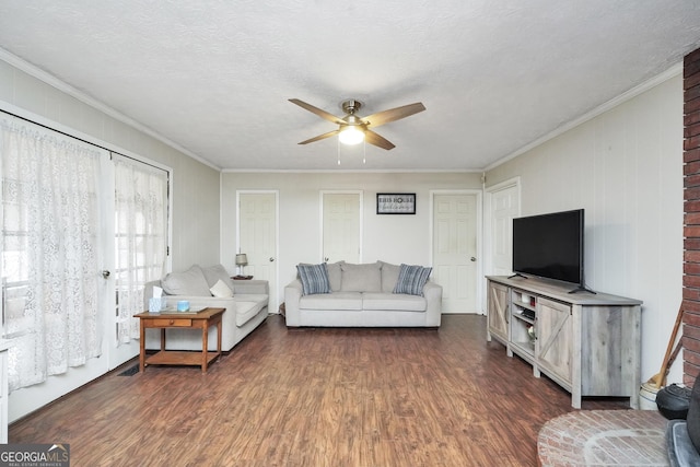 living room featuring crown molding, dark hardwood / wood-style floors, and a textured ceiling