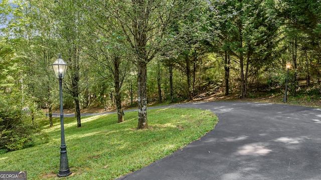 view of property's community featuring a yard