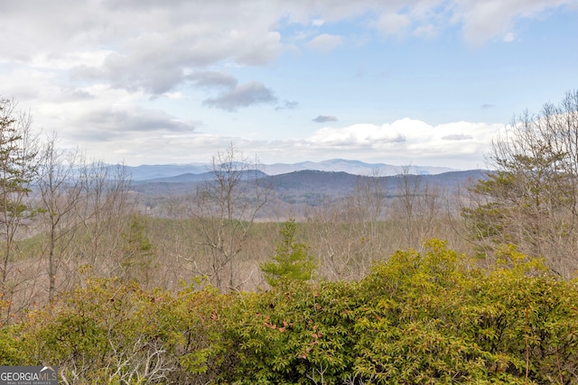 property view of mountains